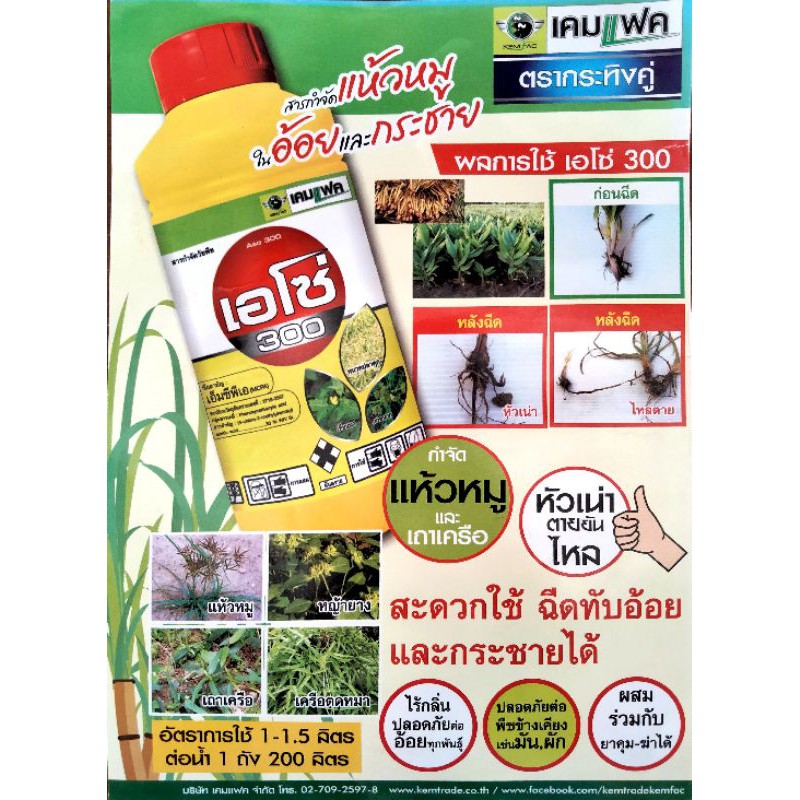 เอโซ่30-ขนาด1ลิตร-สารเอ็มซีพีเอ-สารกำจัดวัชพืชใบกว้างในข้าว-สารกำจัดแห้วหมูในอ้อย-และกระชาย