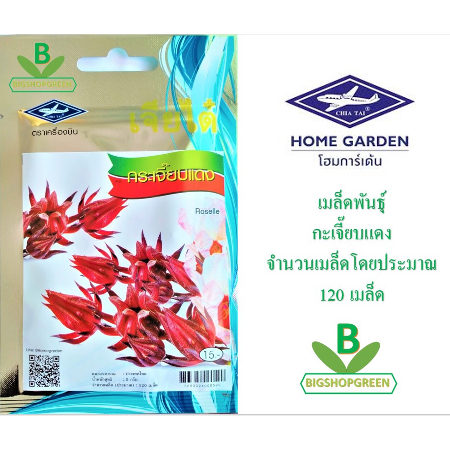 5-ฟรี-1-คละได้-เมล็ดพันธุ์-กระเจี๊ยบแดง-ตราเจียนไต๋-เมล็ดผัก-เมล็ดพันธุ์พืช-เมล็ดพืช-เมล็ดพันธุ์ผัก-เมล็ดผักสวนครัว