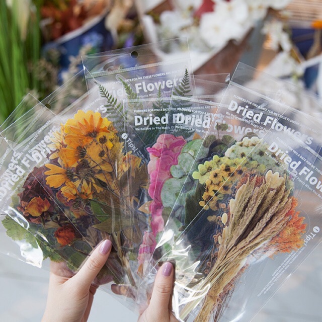ภาพหน้าปกสินค้า(พร้อมส่ง) สติ๊กเกอร์ใส PET Sticker 34แบบ ดอกไม้แห้ง/ใบไม้ DIY สติ๊กเกอร์ตกแต่ง สมุดโน๊ต งานฝีมือ