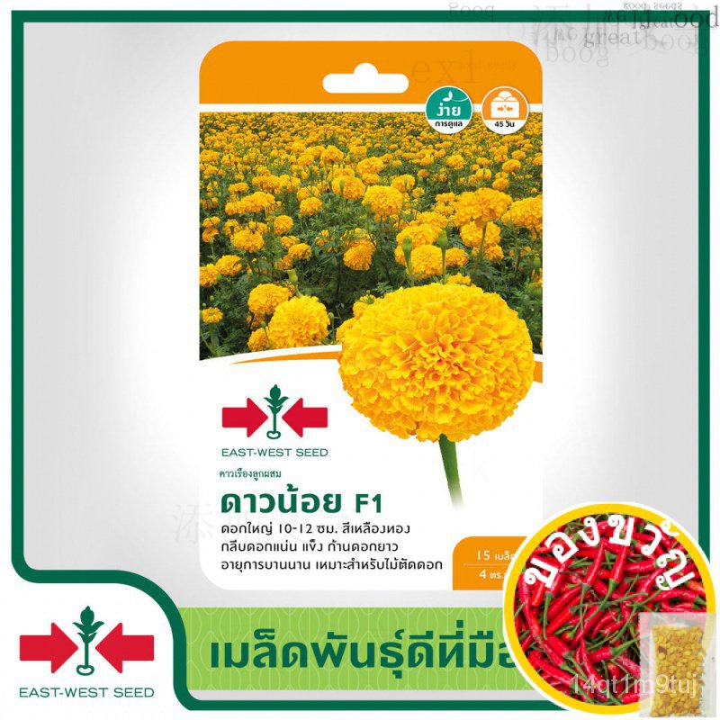 เมล็ดอวบอ้วน100-east-west-seed-เมล็ดพันธุ์ดาวเรือง-marigold-seeds-ดาวน้อย-f1-เมล็ดพันธุ์ดอกไม้-เมล็ดพันธุ์-ผักสวนครัว