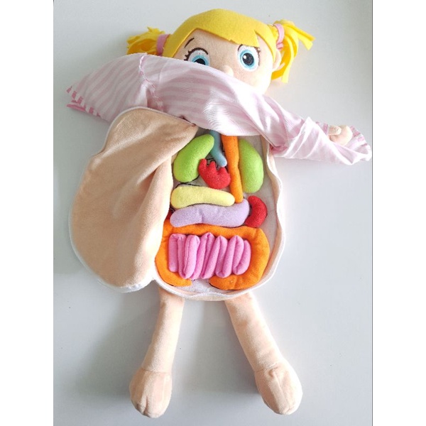 พร้อมส่งจากไทย Human Body Anatomy Doll ( Removable Organs ) ตุ๊กตาสอน