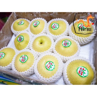 ภาพขนาดย่อของสินค้าสาลี่ทอง (1ลูก) (CHN) ~ลดพิเศษ~ Premium Chinese Pears หอม หวาน อร่อย  ผลไม้ต่างประเทศ ผลไม้พรีเมี่ยม ผลไม้เดลิเวอรี่