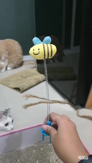 ของเล่นแมว-ผึ้ัง-ที่เสียบที่ลับเล็บ-ผึ้งโยกเยก-cat-toy-ลับเล็บแมว-ของเล่นแมวราคาส่ง