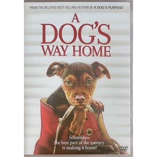 A Dogs Way Home (2019, DVD) / เพื่อนรักผจญภัยสี่ร้อยไมล์ (ดีวีดีซับไทย)