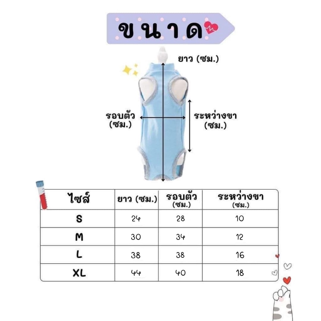 catholiday-ชุดหลังผ่าตัด-v2-ชุดหลังผ่าตัดแมว-ป้องกันแผลแมว