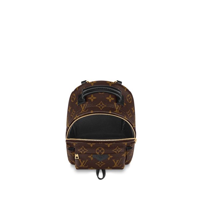 brand-new-authentic-louis-vuitton-palm-springs-backpack