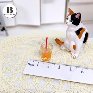 baanchan14 ของจิ๋ว โมเดลน้ำส้มโซดาจิ๋ว ใส่แก้วใส ของสะสม ของตกแต่ง miniature dollhouse เครื่องดื่มจิ๋ว น้ำส้มจิ๋ว