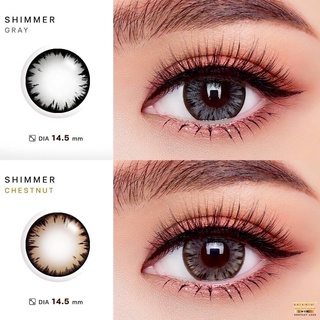 คอนแทคเลนส์ Wink Lens Shimmer(Gray,Brown) ค่าสายตา 0.00 ถึง -5.00