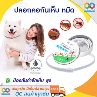 ภาพหน้าปกสินค้าRAINBEAU ปลอกคอกันเห็บ หมัด Dewel Flea & Tick Collar ปลอกคอกำจัดเห็บหมัด ป้องกันกำจัดเห็บหมัด ยุง และแมลงที่มารบกวน ที่เกี่ยวข้อง