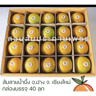 ภาพหน้าปกสินค้าส้มสายน้ำผึ้ง(ผิวลาย) เบอร์คละ 4-5 บรรจุ 40 ลูก (เหมาะสำหรับทำน้ำส้มคั้น) ที่เกี่ยวข้อง