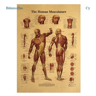 Bittercoffee Hot Sale Human Anatomy Muscles System ภาพโปสเตอร์สําหรับติดตกแต่งผนังบ้าน