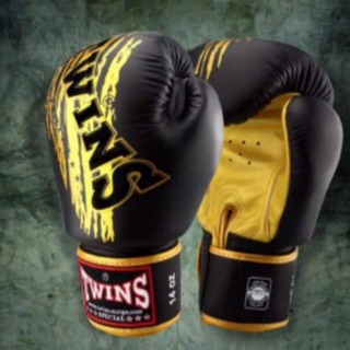 ภาพหน้าปกสินค้านวมชกมวย Twins Boxing Gloves ลาย TW-3 สีดำ/ทอง ที่เกี่ยวข้อง