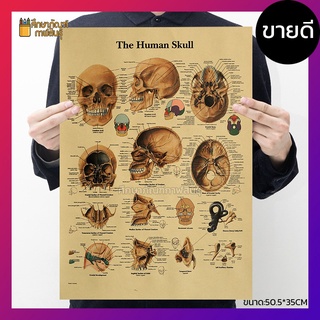 กระโหลกมนุษย์ Human Skull ภาพโปสเตอร์ ร่างกายมนุษย์ กระดาษคราฟท์ สไตล์วินเทจ เพื่อการศึกษาเรียนรู้ ตกแต่งบ้าน คลีนิค