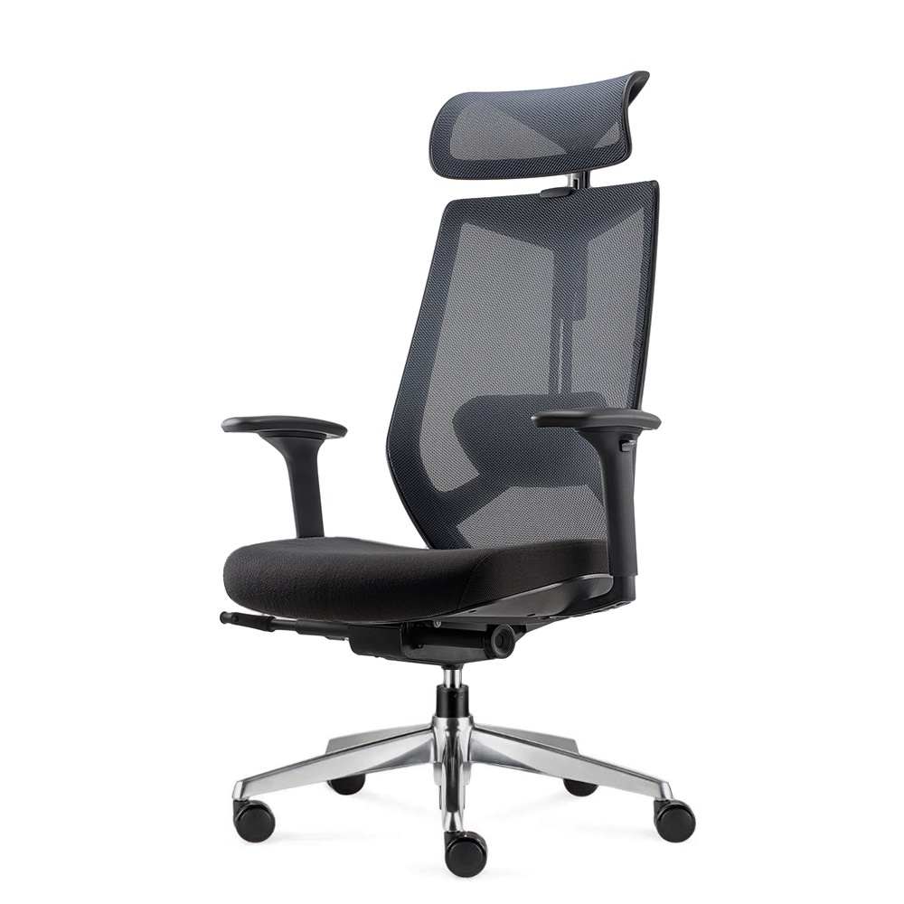 df-prochair-เก้าอี้เพื่อสุขภาพ-รุ่น-a-cor-chair-h