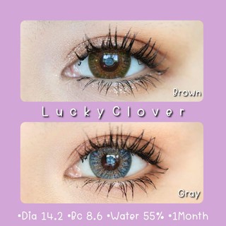 💚LuckyClover-Brown•Gray☆สายตา 00-700☆รายเดือน