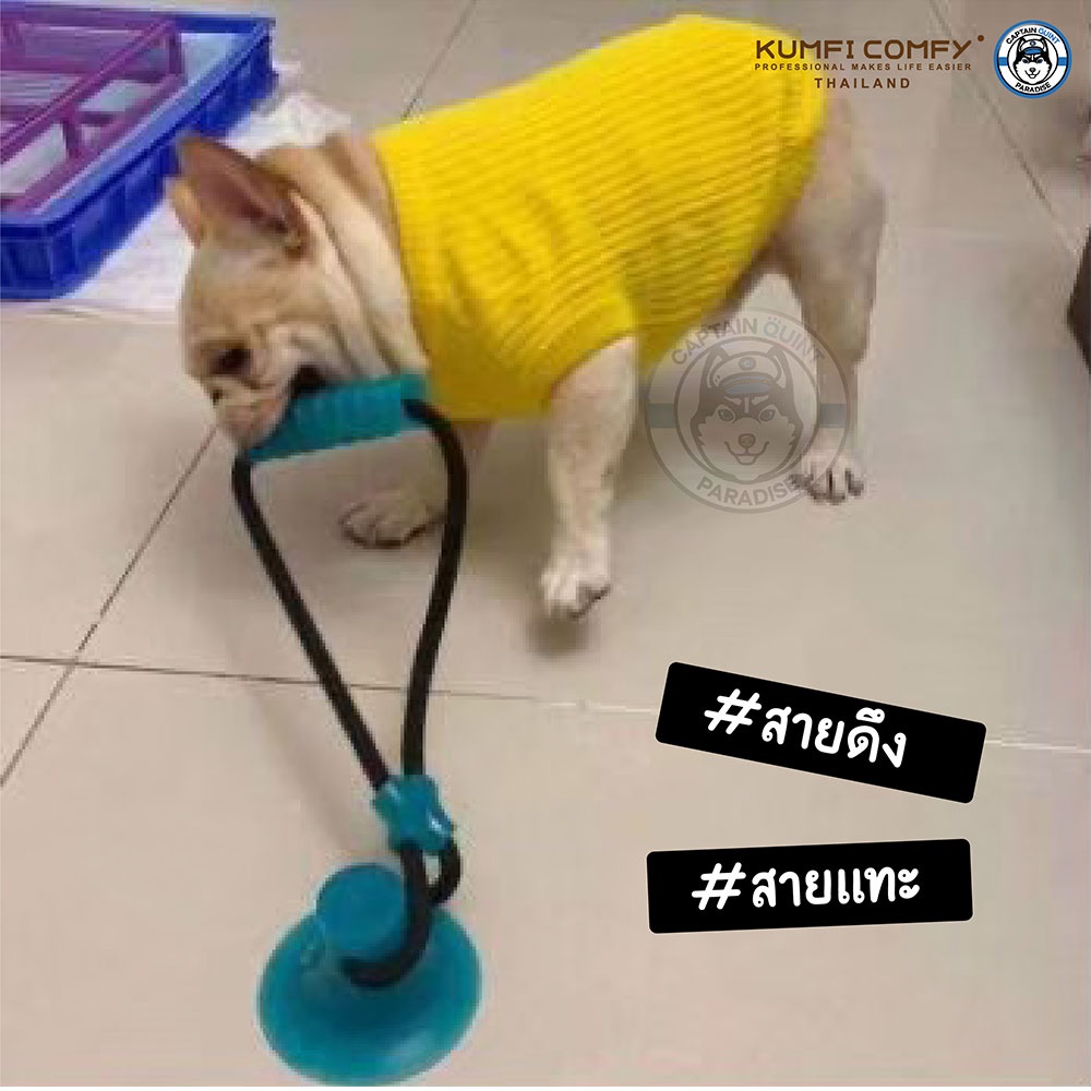 แท่งกัดเล่นยึดติดพื้น-ของเล่นสุนัข-chew-suction-stick-with-rope-kumfi-comfy-จากตัวแทนจำหน่ายอย่างเป็นทางการ