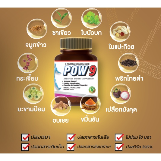 ดูแลท่านชาย-pow9-mohum-สำหรับฟื้นฟูสุขภาพ-และสมรรถภาพชาย-ปรับสมดุลฮอร์โมนชาย