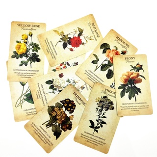 การ์ดเกมส์ Botanical Inspiration Oracle 45 การ์ดสําหรับครอบครัว