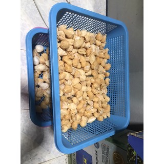 สินค้า ไข่หอยโข่งใต้ขนาดรังละ5บชุดละ100รังจะส่งตามรอบนะครับ