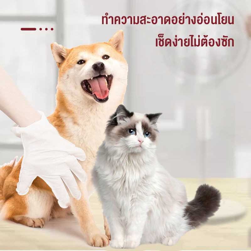 ภาพหน้าปกสินค้าMASTI ส่งจากไทย  ถุงมือสัตว์เลี้ยงแบบใช้แล้วทิ้ง, ถุงมือทำความสะอาดระงับกลิ่นกายสำหรับแมวและสุนัข, ถุงมือทำความสะอาดฆ่าเชื้อ (a glove)LI0291 จากร้าน kuike136.th บน Shopee