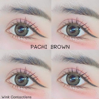 pachi brown รุ่นตาโต ตัดขอบธรรมชาติตาหวาน