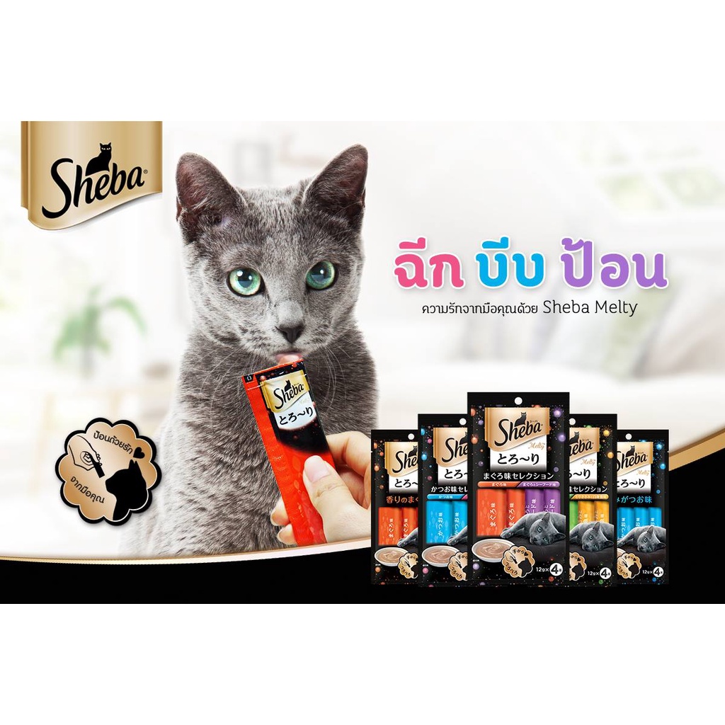 ภาพหน้าปกสินค้าSheba Melty ชีบา เมลตี้ ขนมแมวเลีย 48g (4ซอง/แพ็ค) จากร้าน allpetshop บน Shopee