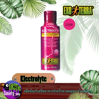 ผลิตภัณฑ์เสริมอาหารสำหรับสัตว์เลี้ยง Exo Terra Electrolyte 120ML