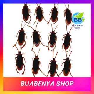 12 ตัว / ของเล่น แมลงสาบ แมงสาบปลอม แมลงสาบปลอม แมลงสาบพลาสติก สัตว์ ปลอม ขนาดประมาณ 3.5 ซม.