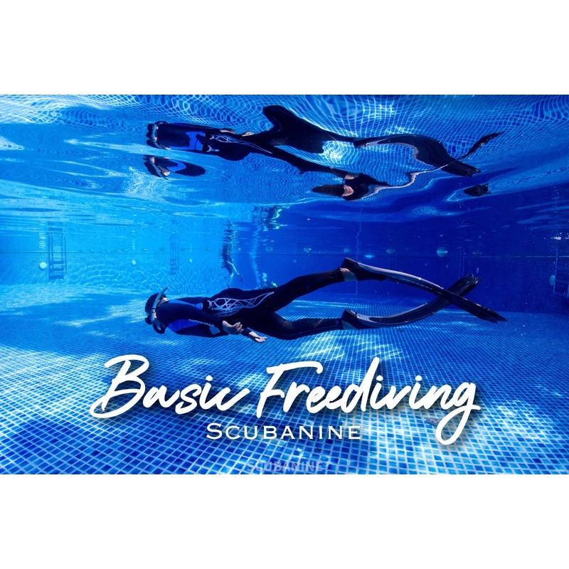 ภาพหน้าปกสินค้าFreediving course คอร์สเรียนดำน้ำ freediving