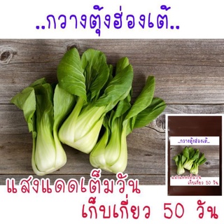 ภาพหน้าปกสินค้าเมล็ด​พันธุ์​ กวางตุ้งฮ่องเต้​ 500+ เมล็ด​ ที่เกี่ยวข้อง