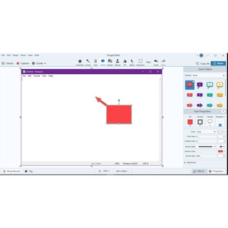 ภาพขนาดย่อของภาพหน้าปกสินค้าSnagIt 2021 - 2022  โปรแกรมจับภาพหน้าจอ จากร้าน software2u บน Shopee ภาพที่ 4