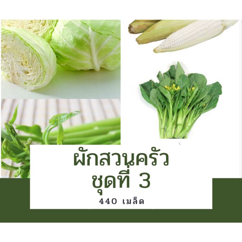 เมล็ดผักสวนครัว-เมล็ดผักชุดที่3-ผักบุ้งแก้ว-กะหล่ำปลี-หอมแบ่ง-ข้าวโพดข้าวเหนียว-กวางตุ้งดอก-รวม440เมล็ด