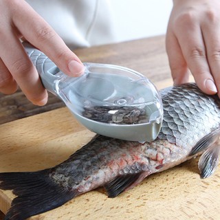 ที่ขูดเกล็ดปลา เครื่องมือครัวเรือน