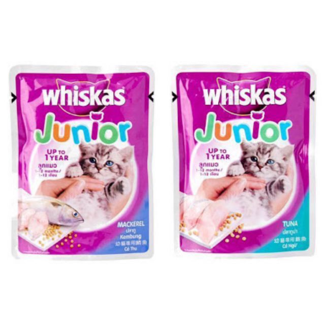 whiskas-วิสกัส-ลูกแมว-85g-24ซอง