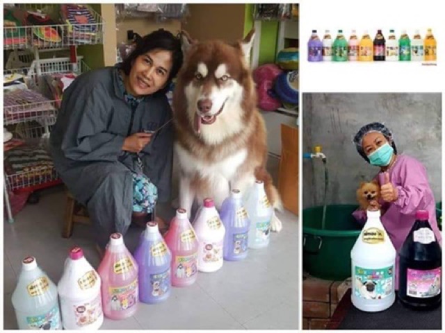 ภาพหน้าปกสินค้าPetheng Grooming shampoo เพ็ทเฮง แชมพูสุนัข ขนาด1.5ลิตร จากร้าน nintmr บน Shopee