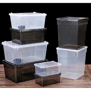 ภาพย่อรูปภาพสินค้าแรกของReptile Box กล่องเลี้ยงสัตว์เล็ก สัตว์เลื้อยคลาน สัตว์เล็ก ผสมพันธุ์สดกล่อง สำหรับ แมงมุม ตุ๊กแก ฮอร์นฟรอก ตะขาบ แมงป่อง