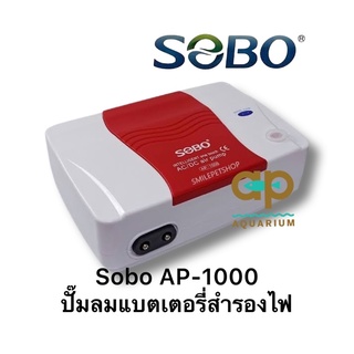 ปั๊มลมและปั๊มสำรองไฟ Soboรุ่น AP-1000 Ac/DC