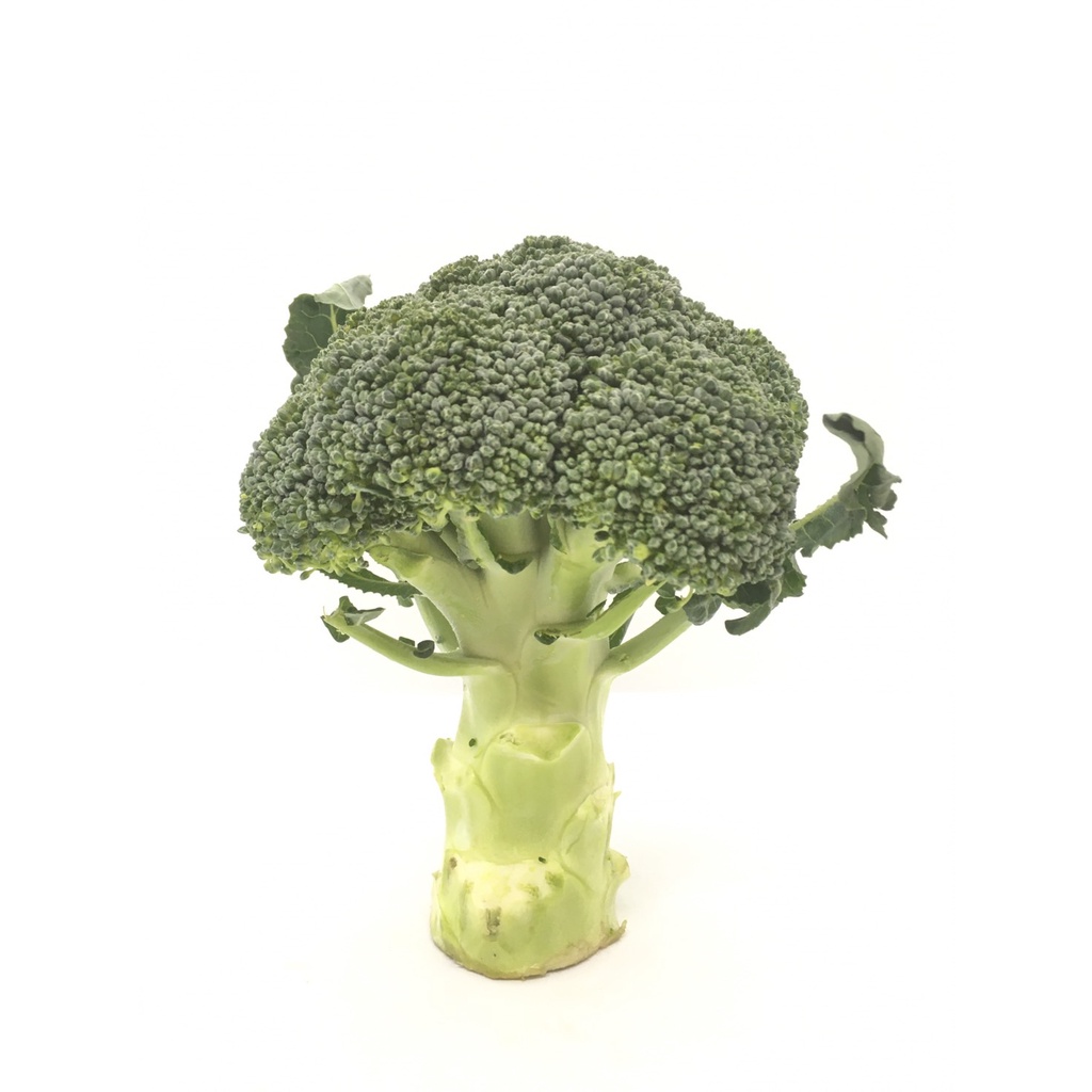 บร็อคโคลี่-1หัว-250-300กรัม-ผักผลไม้สด-broccoli