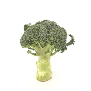 ภาพหน้าปกสินค้าบร็อคโคลี่ 1หัว 250-300กรัม - ผักผลไม้สด Broccoli ที่เกี่ยวข้อง