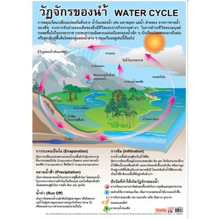 วัฏจักรน้ำEQ-188  โปสเตอร์ภาพ กระดาษหุ้มพลาสติก ขนาด 50*70 cm