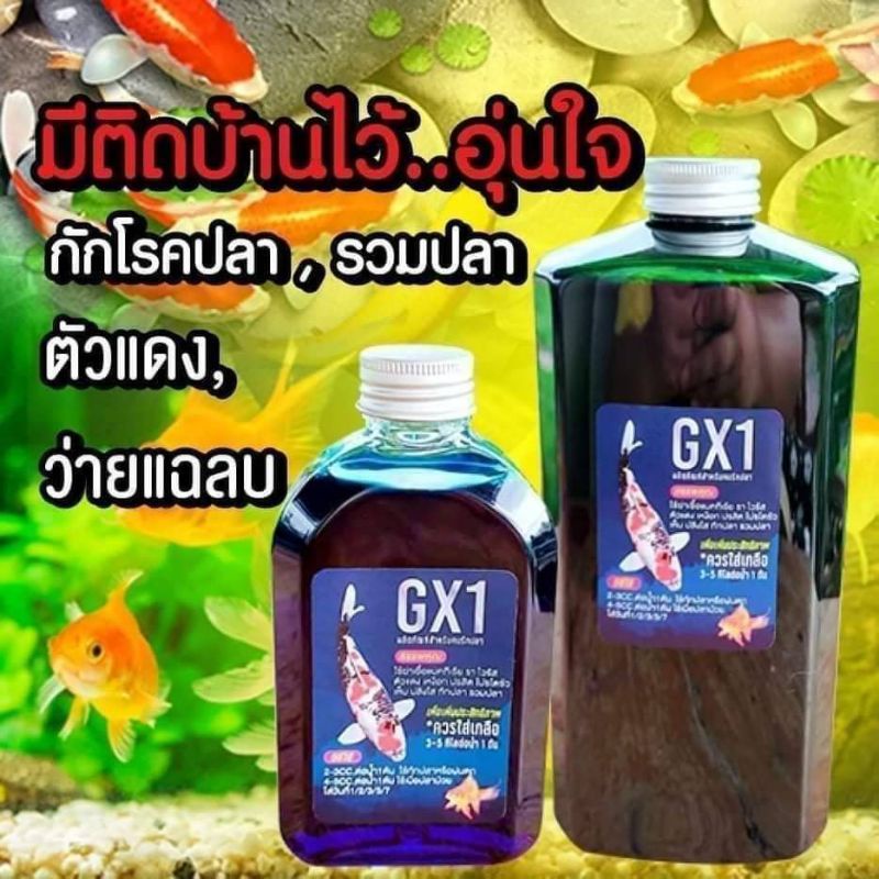 gx1-ยาสำหรับฆ่าเชื้อแบคทีเรีย-ใช้รักษาปลาป่วย-ใช้ในการกักโรคปลา-ใช้ในการรวมปลา-ขนาด-250-ml-และ-1000-ml