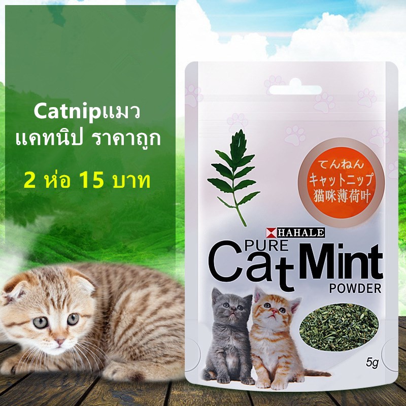 catnip-แคตนิป-สมุนไพรแมว-5-กรัม-ถุง-ผงแคทนิป-กัญชาแมวกัญชาแมว-แคทนิป-ราคาถูก-cat-mint