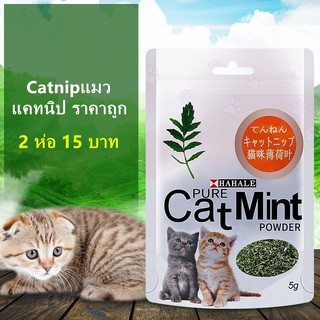 ภาพหน้าปกสินค้าCatnip แคตนิป สมุนไพรแมว 5 กรัม / ถุง ผงแคทนิป กัญชาแมวกัญชาแมว  แคทนิป ราคาถูก Cat Mint ซึ่งคุณอาจชอบราคาและรีวิวของสินค้านี้