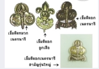 ภาพขนาดย่อของภาพหน้าปกสินค้าเข็มติดหมวก ลูกเสือสามัญ แบบเข็ม (12ชิ้น/แพค) จากร้าน warm501 บน Shopee