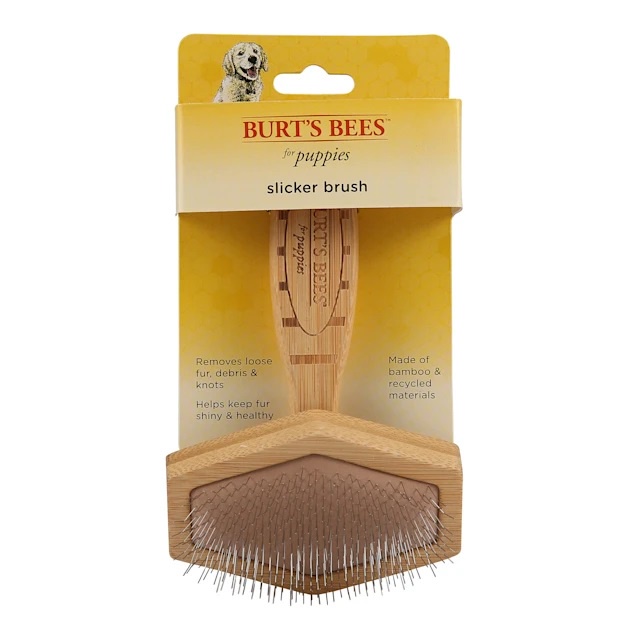 Burt's Bees for Dogs Porcupine Bristle Brush