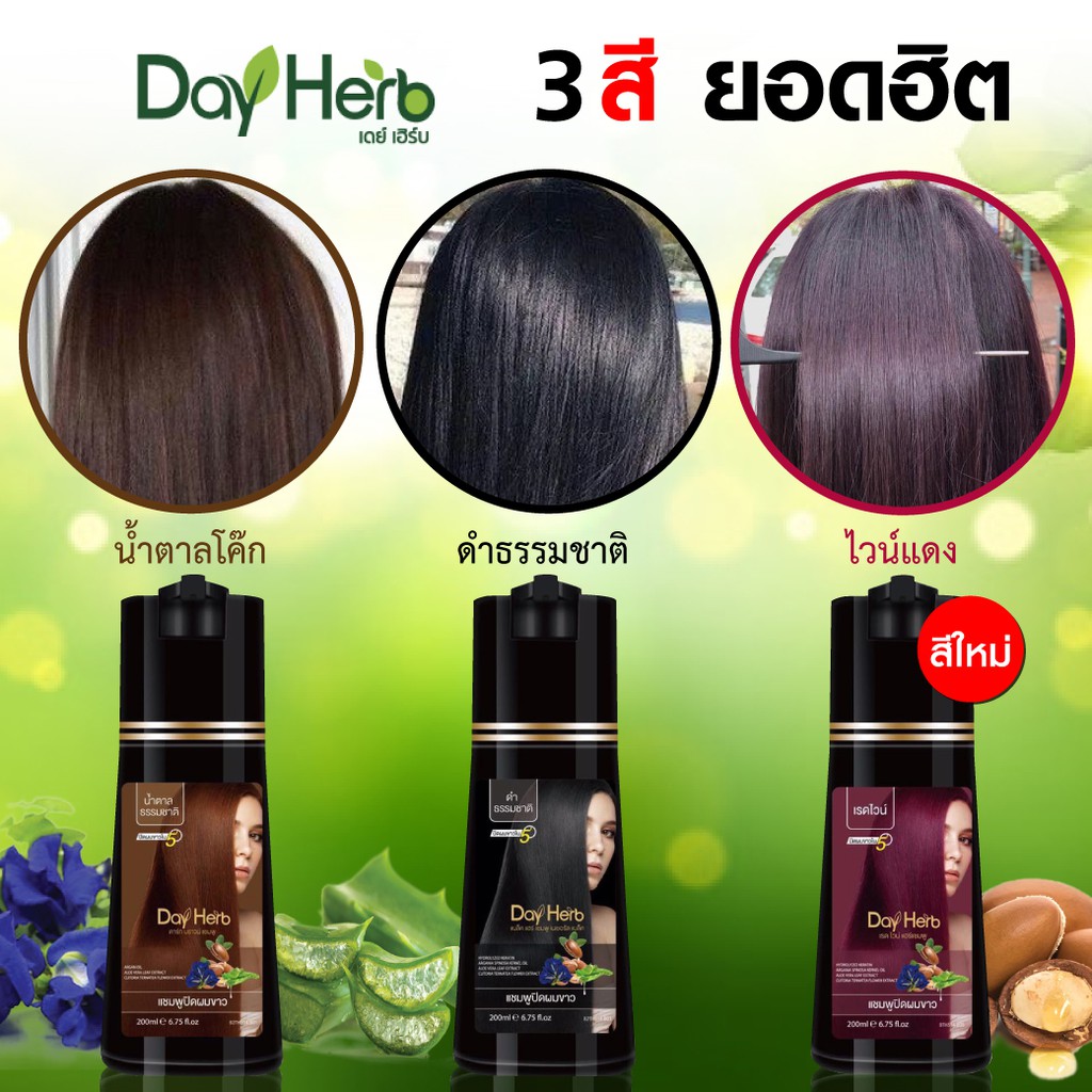 dayherb-แชมพูสมุนไพรปิดผมขาวสีดำ-4-ขวด-แถมฟรี-ทรีทเม้นท์บำรุงผม-1-ขวด-ปิดผมขาวได้ใน-5-นาที-ปิดผมขาวได้ใน-5-นาที