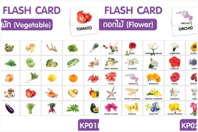 ส่งฟรีเคอรี่-flash-card-แยกขายเป็นหมวด