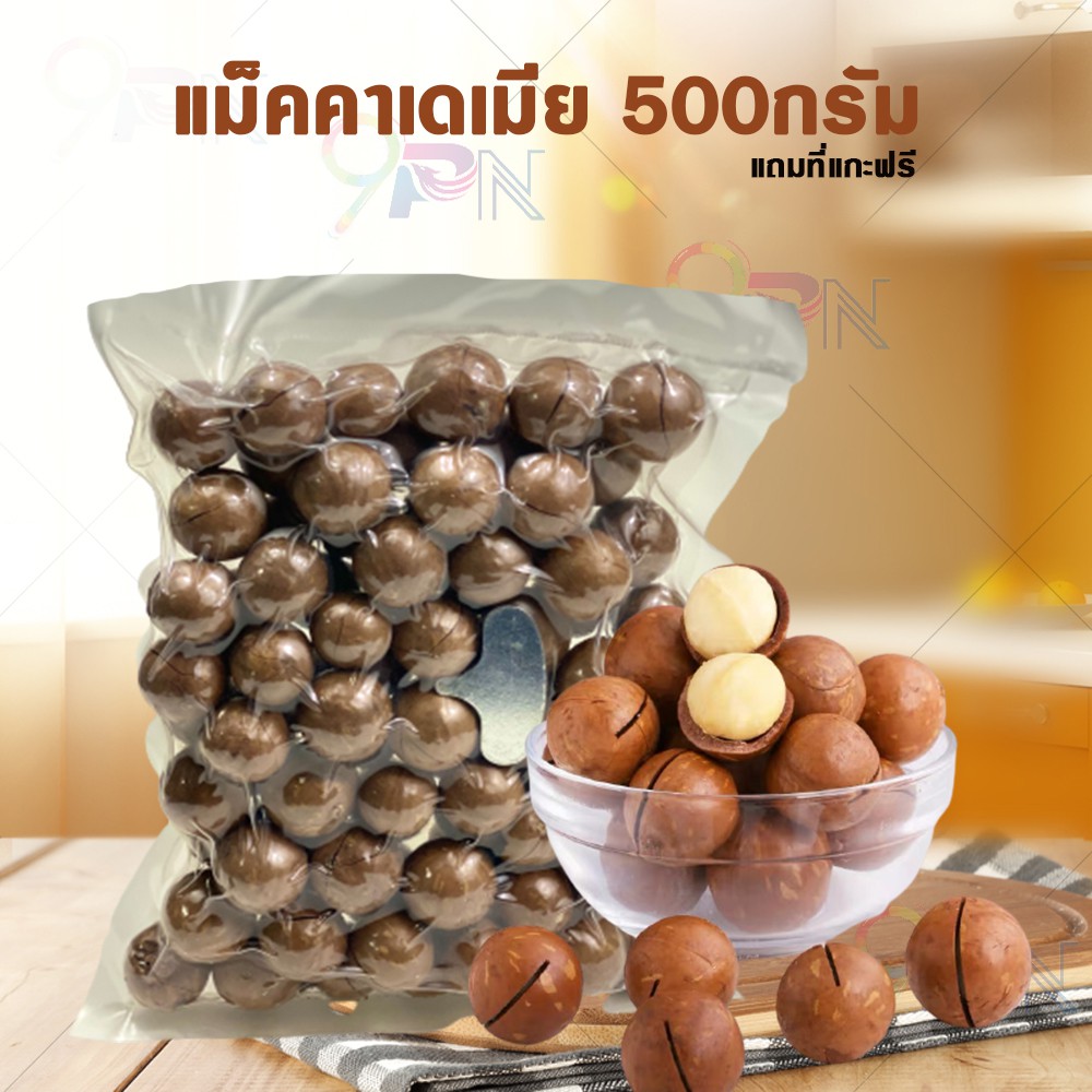 mo-แมคคาเดเมีย-500g-อบพร้อมทาน-แบบมีเปลือก-แมคคาเดเมีย-แถมที่แกะเปลือกฟรี-ธัญพืชเพื่อสุขภาพ-ราชาแห่งถั่ว