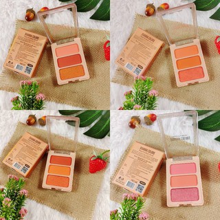 SIVANNA COLORS PEACH PROโทนสีพีชน่ารัก BLUSH HF6030 (In the peach )