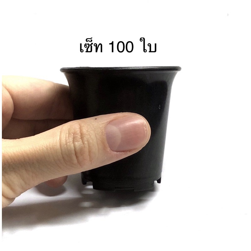 กระถาง-ทรงปากแตร-กระถางกระบองเพชร-กระถางแคคตัส-ขนาด-2-นิ้ว-เซ็ท-100-ใบ